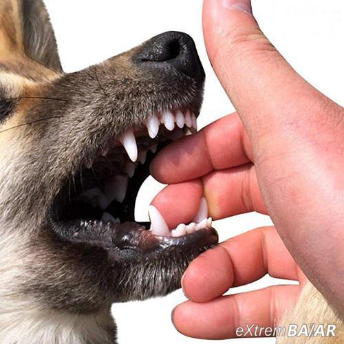 Fogtisztító gumicsont kutyáknak / kutya fogkefe